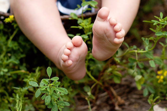 Albuquerque Family Photographer, Family photography in albuquerque, albuquerque family photos, family photo ideas in albuquerque, maura jane photography, family photographers, children photographers, baby photo ideas, baby photographers in albuquerque, new mexico family photos