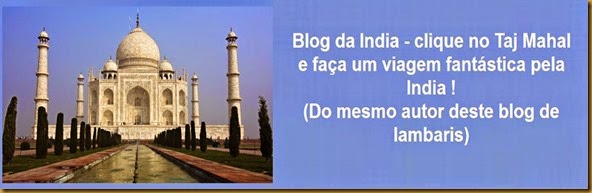 Link para o blog India1