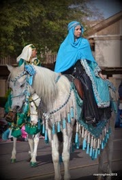 Arabian Horses