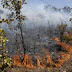 SECA:  Incêndio queima 25 hectares de cerrado na área rural de Sobradinho