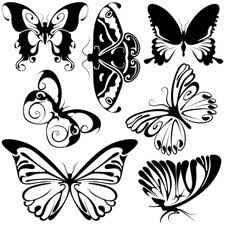 Butterfly Tattoos Pics