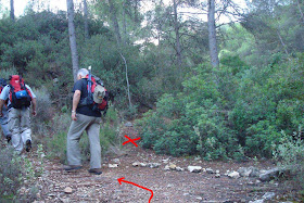 Dirección Bco. del Lagrimal