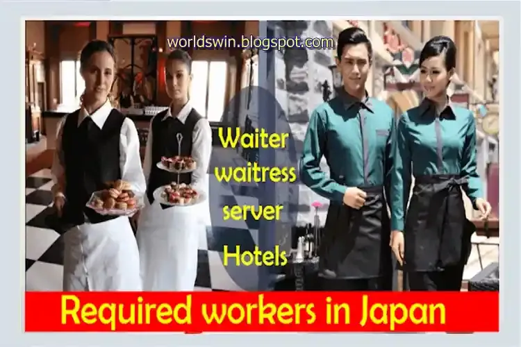 apply for job japan Waiter and waitress