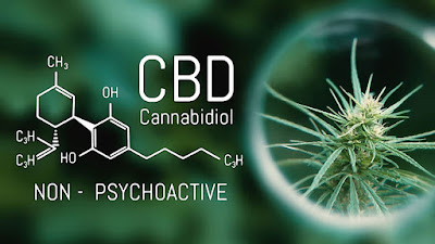 Cannabidiol Market