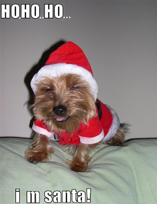 Puppy Santa Funny Photos