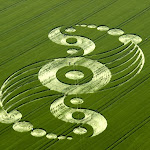 gambar crop circle, foto crop circle, alien, ufo, lingkaran tanaman, www.digaleri.com