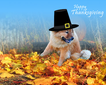 #8 Happy Thanksgiving Wallpaper