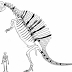 Spinosaurus: The New Evidence.