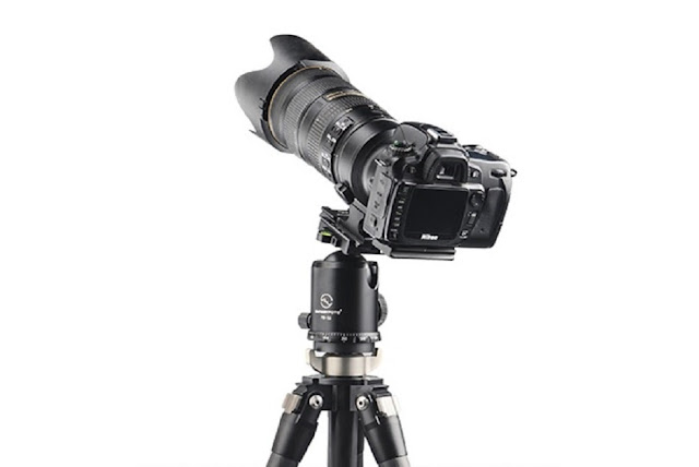 Sunwayfoto FB-52 on T2C40C CF Tripod