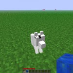 untitled New Doggy Talents 1.6.4 Mod Minecraft 1.6.4