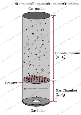 Bubble column fermentor