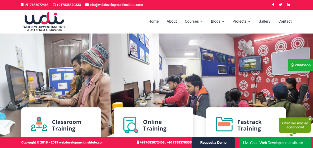 web development institute