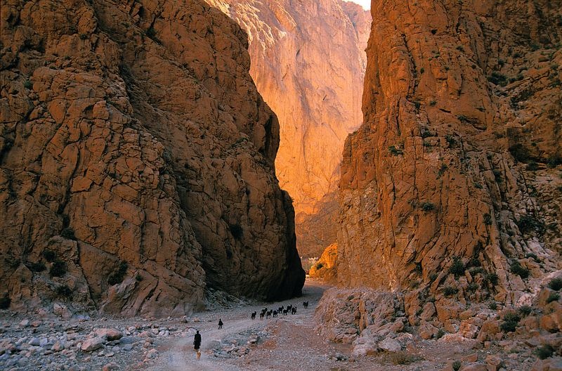 todgha-gorge-1