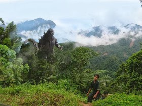 Fukushima Godzilla Creature Spotted off Radioactive Japanese Coast