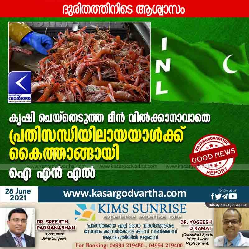 Kasaragod, Kerala, News, Lockdown, Agriculture, Panchayath, Committee, District, INL lends a helping hand to a person in crisis who is unable to sell his farmed fish.