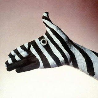 zebra