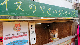 北海道 札幌 イヌのやきいもやさん　柴犬のケン