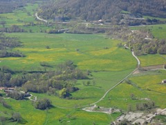 DSC00459