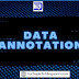 Why business needs data annotation?