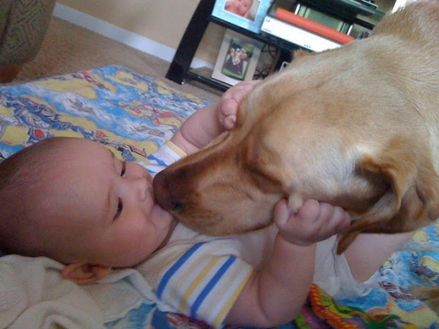 Little boy and his dog friend (24 pics), dog and baby friends pics, cute dog pics, adorable photos of baby and dog