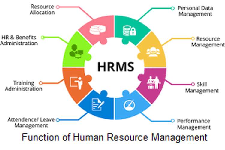 7 Major Functions of human resources management (HRM ...