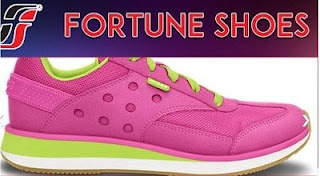 Upcoming IPO Fortune Shoe Limited (IPO) Subscription Date Start From August 16,2016
