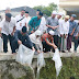 30 Ribu Bibit Ikan Dilepas Gubernur di Satu Masjid dan Dua Mushalla