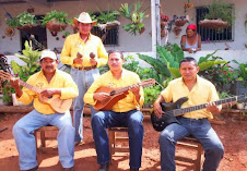 Grupo Cuerda y Madera