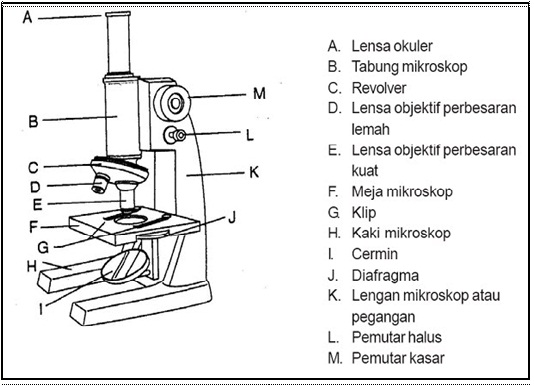 Bagian-Bagian Mikroskop Polarisasi Dan Fungsinya Terlengkap