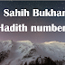 Sahih Bukhari Hadith number: 08 || Hadith number: 08 in English