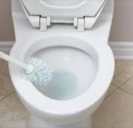 How to make toilet cleaner