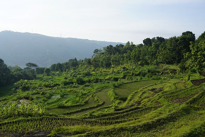 Lansekap pemandangan di sekitaran Piyungan