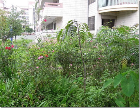 clip_image002