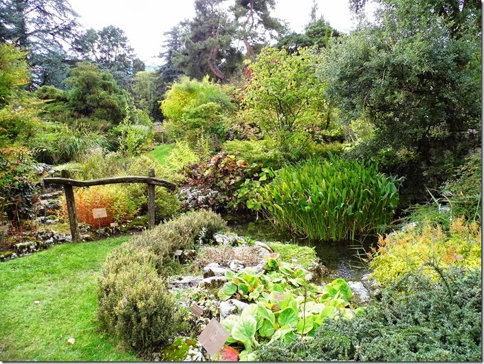 Jardin Botanique de Genève