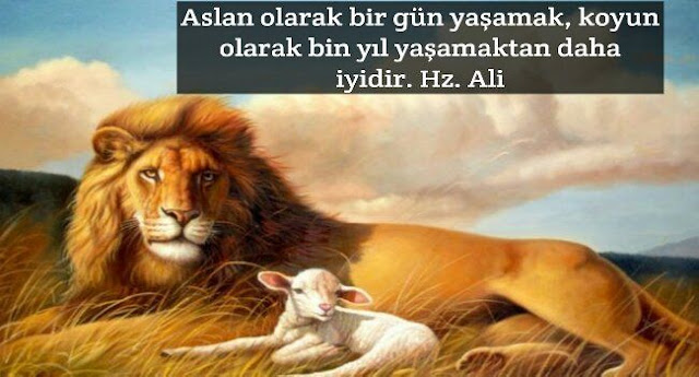 Aslan İle İlgili Sözler