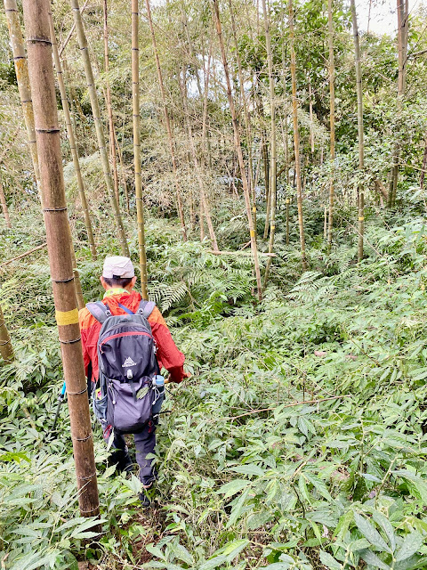 頭凍山下山途中