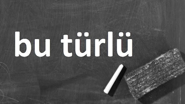 bu türlü