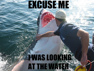 excuse me i was looking at the water shark, animals funny pictures, animal funny pictures