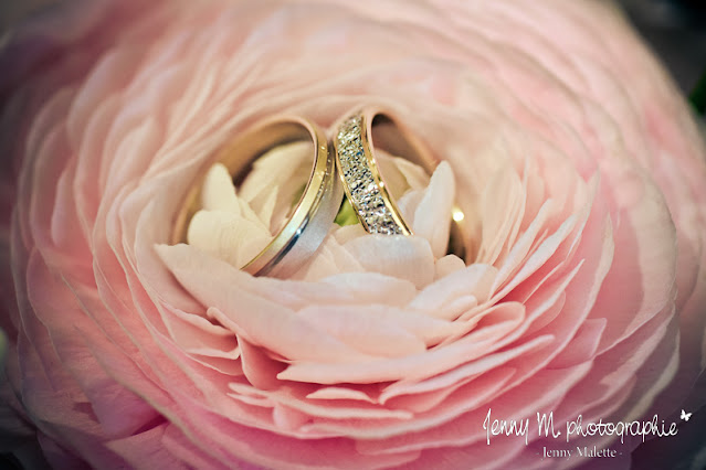photo alliances de mariés mariage dans fleur rose