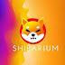 Shiba Inu Officially Takes First Step Towards Shibarium Beta Launch
