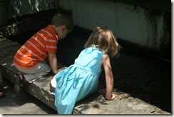 2011-05-08 (20)