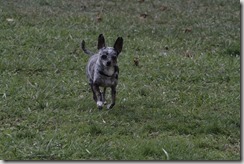 IMG_5722