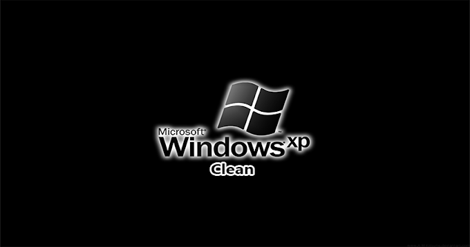 Microsoft Windows XP Pro SP3 x86-x64 Clean Lite By SasNet