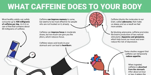 surprising-ways-that-caffeine-affects-your-body-and-brain-techsandgeeks