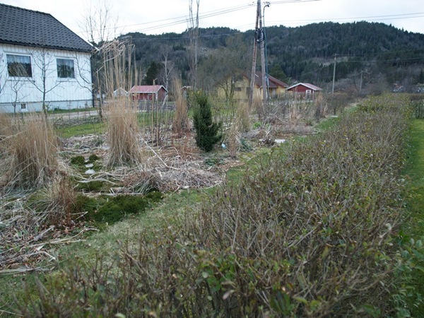 2012-03-30 Hagen på Møll (63)