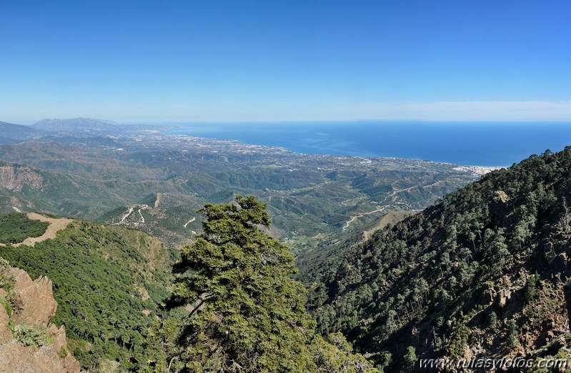 Los Reales de Sierra Bermeja