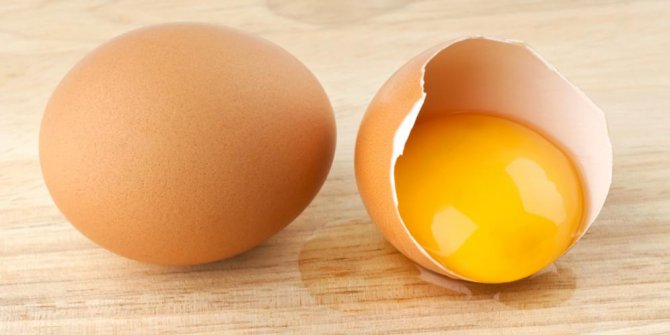 Bagaimana Salmonella Masuk ke Dalam Telur? Belajar Sampai Mati, belajarsampaimati.com, hoeda manis