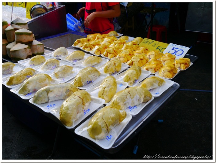 PhotoCap_019