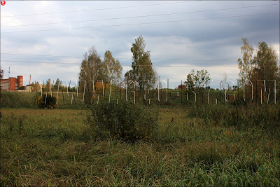 Городище в Клецке