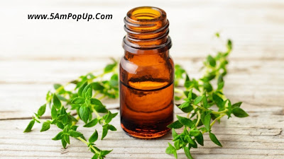 Thyme Essential Oil For Cough - Sardi Jukam Se Bachne Ke Upay